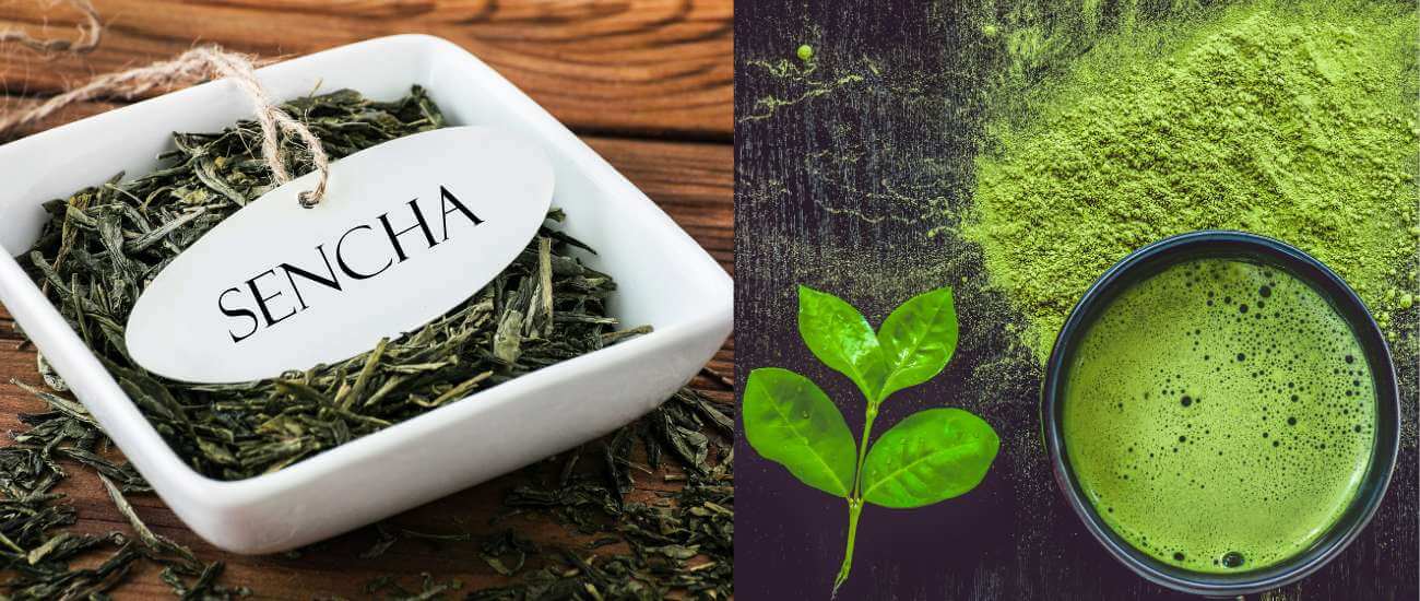 What Are The Differences Between Matcha And Sencha? | Leigh Leaf