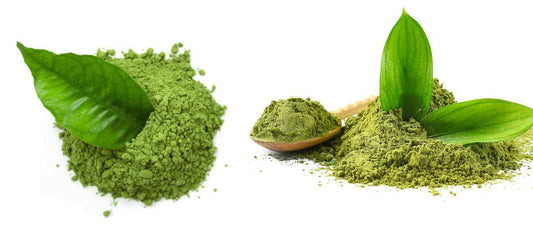 Ceremonial Grade Matcha vs. Culinary Grade Matcha: What's the Difference?