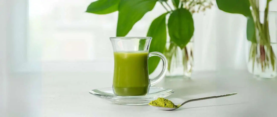 How to Prepare Matcha Tea?